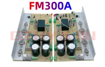 Directo grabado FM300A clásico amplificador de potencia termine de desnudar módulo