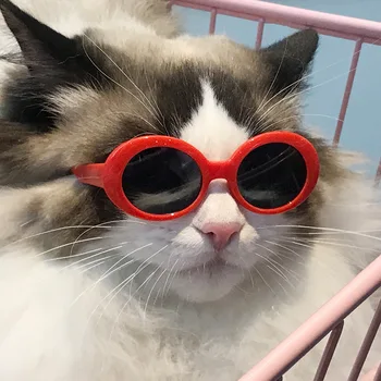 Precioso Vintage Ronda de Gato Gafas de sol de la Reflexión de los Ojos usar gafas Para el Pequeño Perro Gato Mascota Fotos de Productos para Mascotas Accesorios de Utilería
