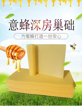 Profundidad de la cámara de cera de abeja tabique 41.5x19.5cm 30pcs/box NO.TXF-1065
